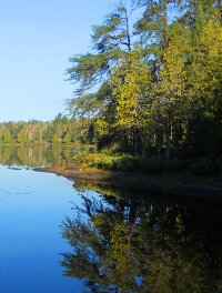 Calm Morning Water